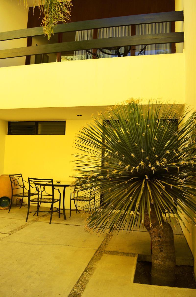 Hotel Kabii Oaxaca Extérieur photo